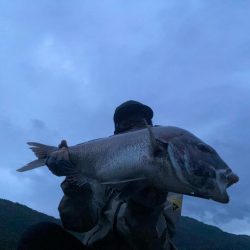 エギングでショアレッド降臨