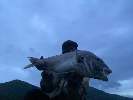 エギングでショアレッド降臨