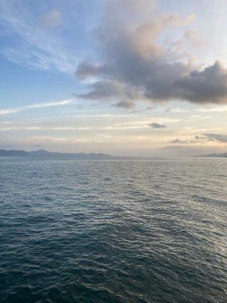 今日もタチウオ