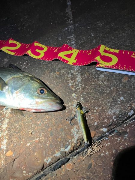 久しぶりに60を超えたか⁉︎