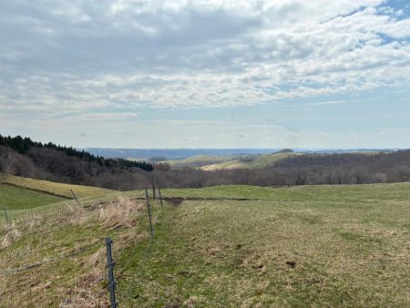 支流のコイ釣り