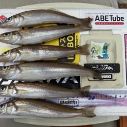 今回も地元のサーフで釣りました