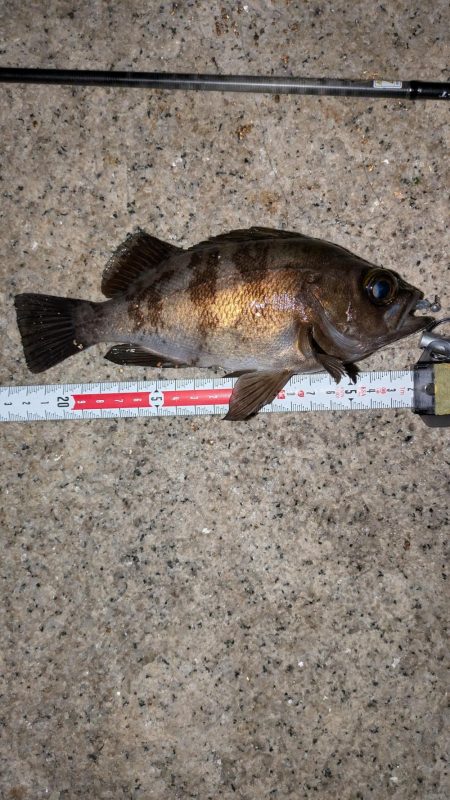 ゴールデンウィーク