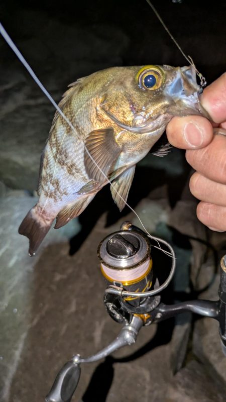 数は出るけど···