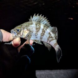 絶好のタイミング