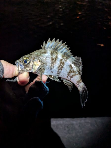 絶好のタイミング