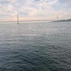 ショアジギングでまさかのグレ