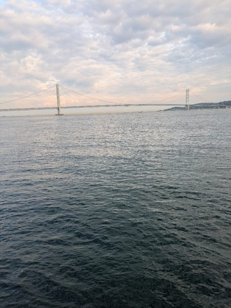 ショアジギングでまさかのグレ