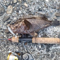 徳島ラスト釣行