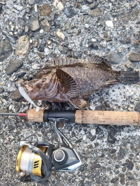 徳島ラスト釣行