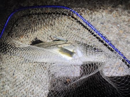 11カ月ぶりの60UP💦