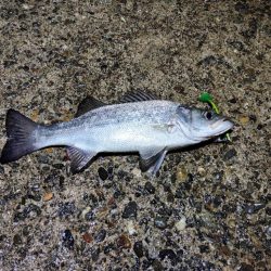 下げ止まり前が時合い。