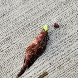 久しぶりの投稿