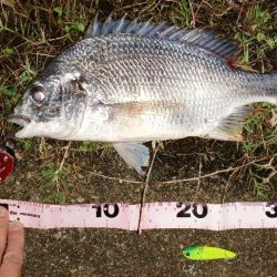 バイブレーションローテーション