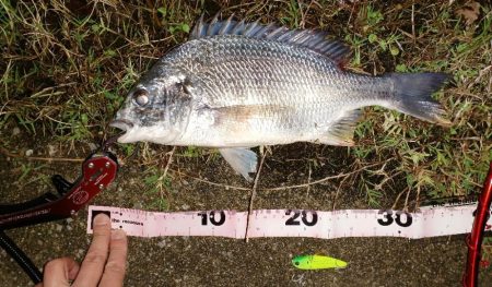 バイブレーションローテーション