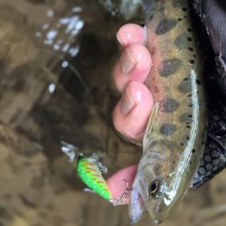 暴風なんで山へ