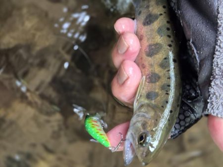 暴風なんで山へ