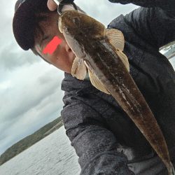 ミノーのジャーキングでマゴチをゲット！