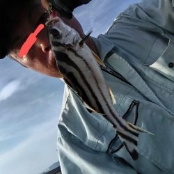 コトヒキ釣れました。