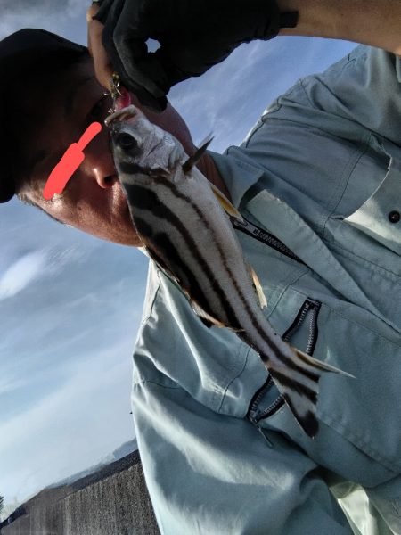 コトヒキ釣れました。