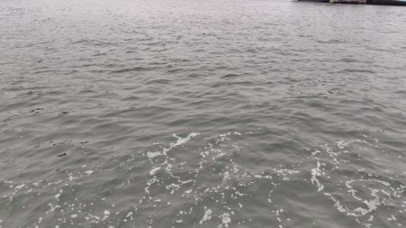 シロギス、シーズン入りました