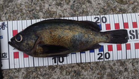 やはり場所なのか?