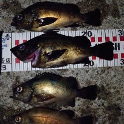 潮と場所は重要