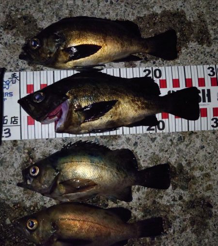 潮と場所は重要