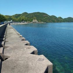 ガシラ祭りだぁ〜🎣