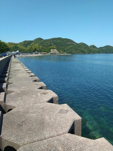 ガシラ祭りだぁ〜🎣