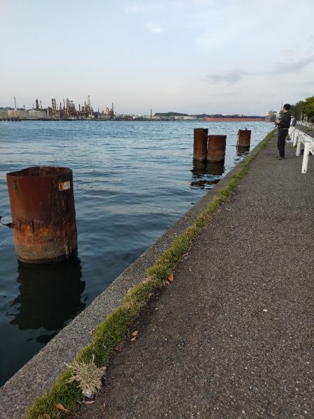 夕マズメの港で