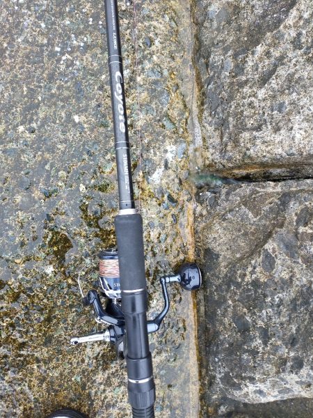 ジグサビキで仔サバ