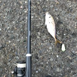 雨が降る前に…