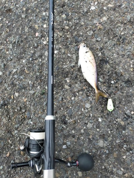 雨が降る前に…