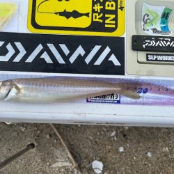 ＧＷにいろいろと巡ってみました