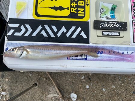 ＧＷにいろいろと巡ってみました