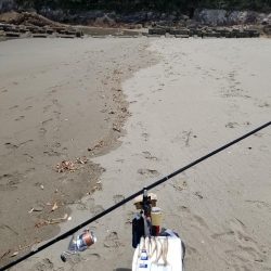 半年ぶりの釣行