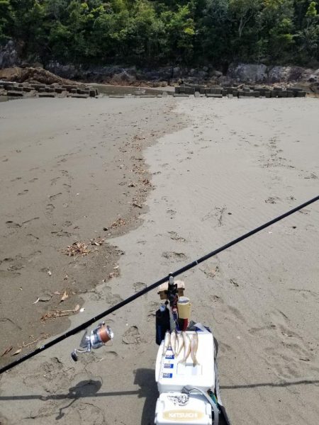 半年ぶりの釣行