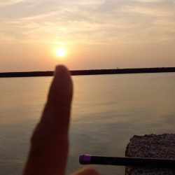 ぶっこみ釣りでコブダイ