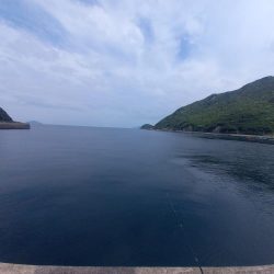 久しぶりの高知で釣り