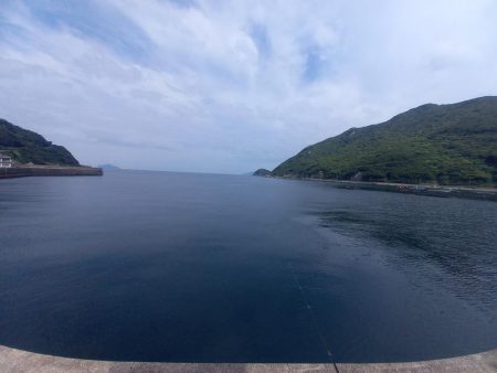 久しぶりの高知で釣り