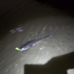 当たりもサイズもちっちゃいか～