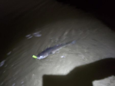 当たりもサイズもちっちゃいか～