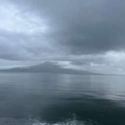 鹿児島錦江湾で1つテンヤのタイ釣りしてきました