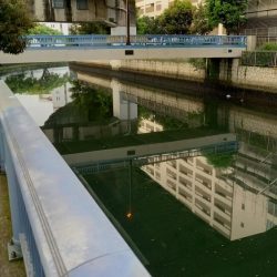 まさか！！こんなところで天然うなぎ！