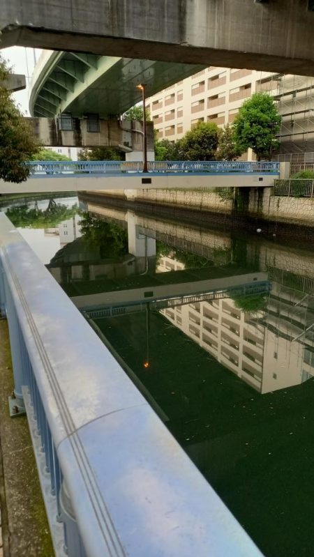 まさか！！こんなところで天然うなぎ！