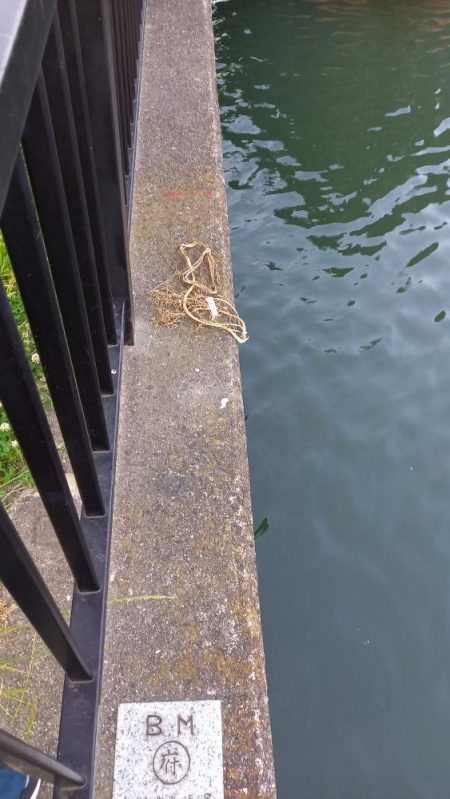 昨晩の釣果に味をしめて、朝練でうなぎ！！