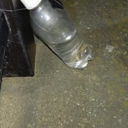 大雨の翌日、怪物うなぎ他、多数！！