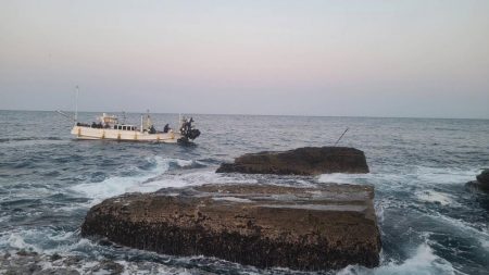 和歌山市江（吉丸渡船）でグレ釣り