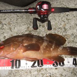 今シーズン初釣行